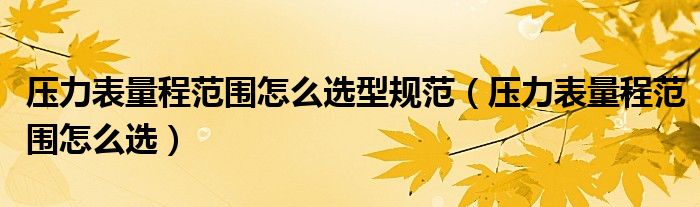 压力表量程范围怎么选型规范（压力表量程范围怎么选）