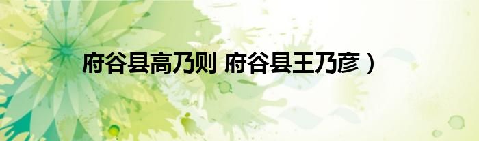 府谷县高乃则 府谷县王乃彦）