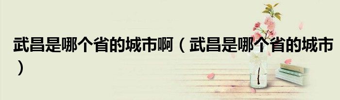 武昌是哪个省的城市啊（武昌是哪个省的城市）