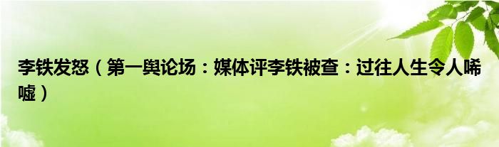 李铁发怒（第一舆论场：媒体评李铁被查：过往人生令人唏嘘）