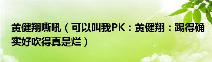 黄健翔嘶吼（可以叫我PK：黄健翔：踢得确实好吹得真是烂）