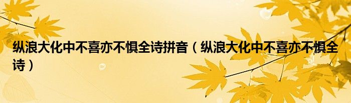 纵浪大化中不喜亦不惧全诗拼音（纵浪大化中不喜亦不惧全诗）