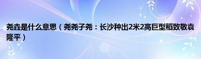 尧垚是什么意思（尧尧子尧：长沙种出2米2高巨型稻致敬袁隆平）