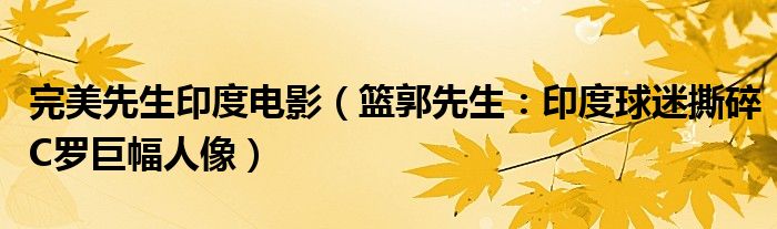 完美先生印度电影（篮郭先生：印度球迷撕碎C罗巨幅人像）
