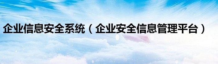 企业信息安全系统（企业安全信息管理平台）