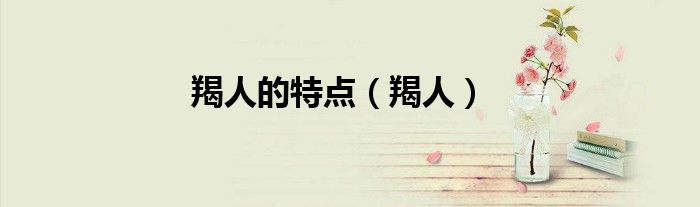羯人的特点（羯人）