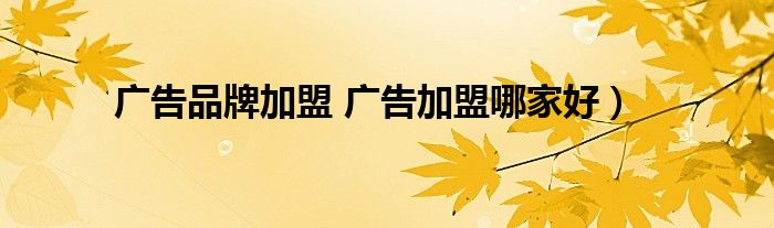 广告品牌加盟 广告加盟哪家好）