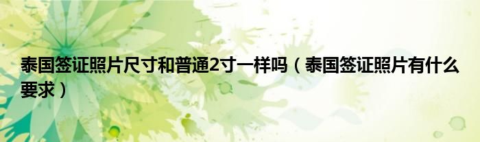 泰国签证照片尺寸和普通2寸一样吗（泰国签证照片有什么要求）