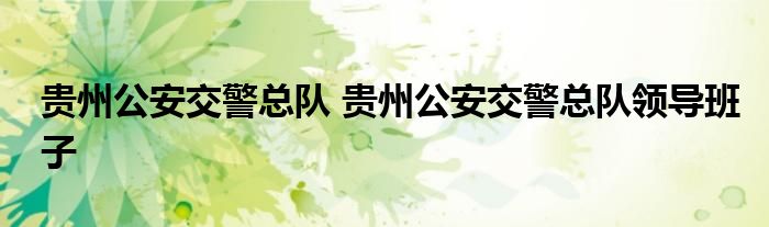 贵州公安交警总队 贵州公安交警总队领导班子