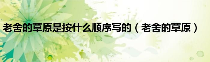 老舍的草原是按什么顺序写的（老舍的草原）