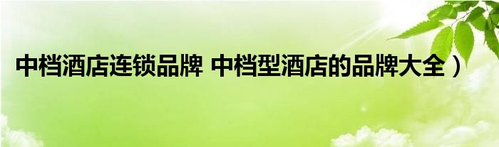 中档酒店连锁品牌 中档型酒店的品牌大全）