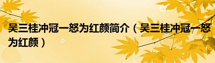 吴三桂冲冠一怒为红颜简介（吴三桂冲冠一怒为红颜）