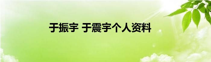 于振宇 于震宇个人资料