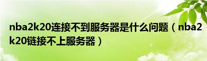 nba2k20连接不到服务器是什么问题（nba2k20链接不上服务器）