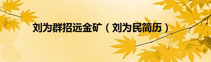 刘为群招远金矿（刘为民简历）