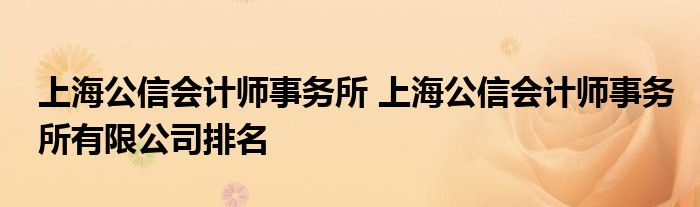 上海公信会计师事务所 上海公信会计师事务所有限公司排名