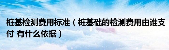 桩基检测费用标准（桩基础的检测费用由谁支付 有什么依据）