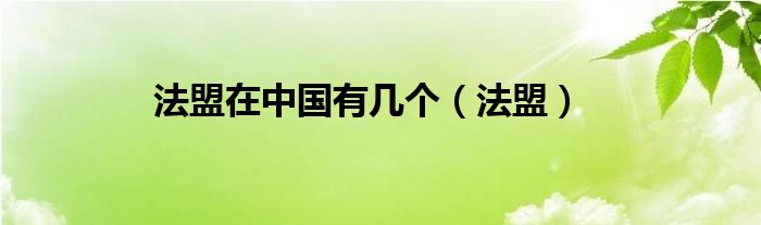 法盟在中国有几个（法盟）