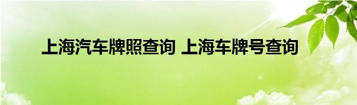 上海汽车牌照查询 上海车牌号查询