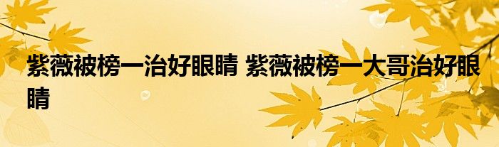 紫薇被榜一治好眼睛 紫薇被榜一大哥治好眼睛