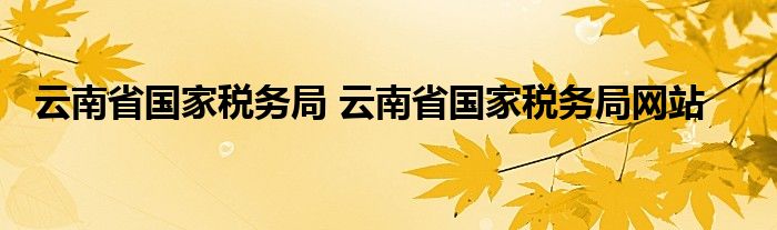 云南省国家税务局 云南省国家税务局网站