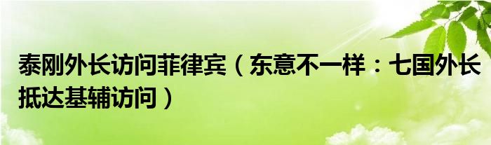 泰刚外长访问菲律宾（东意不一样：七国外长抵达基辅访问）