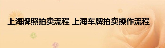 上海牌照拍卖流程 上海车牌拍卖操作流程