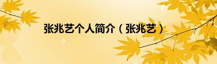 张兆艺个人简介（张兆艺）