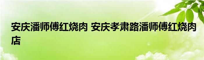 安庆潘师傅红烧肉 安庆孝肃路潘师傅红烧肉店