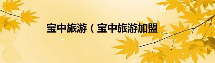 宝中旅游（宝中旅游加盟