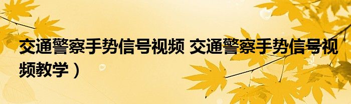 交通警察手势信号视频 交通警察手势信号视频教学）