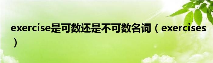 exercise是可数还是不可数名词（exercises）