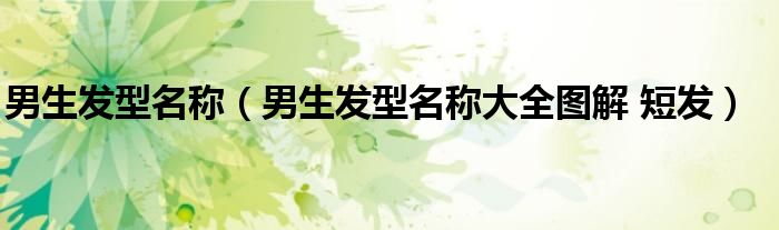 男生发型名称（男生发型名称大全图解 短发）
