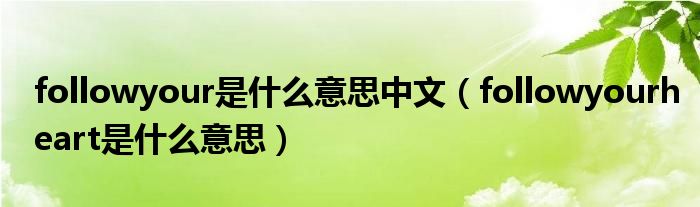 followyour是什么意思中文（followyourheart是什么意思）