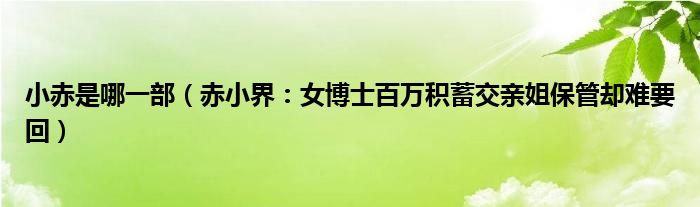 小赤是哪一部（赤小界：女博士百万积蓄交亲姐保管却难要回）