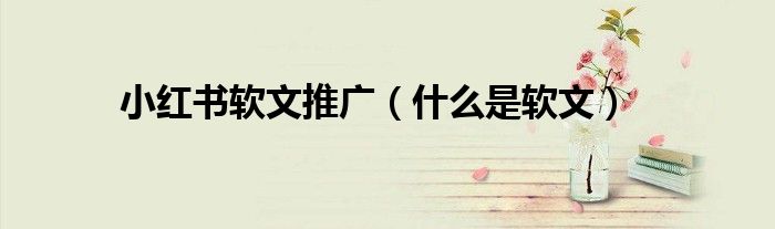 小红书软文推广（什么是软文）