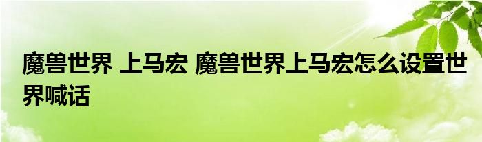 魔兽世界 上马宏 魔兽世界上马宏怎么设置世界喊话