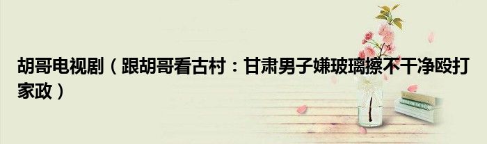 胡哥电视剧（跟胡哥看古村：甘肃男子嫌玻璃擦不干净殴打家政）