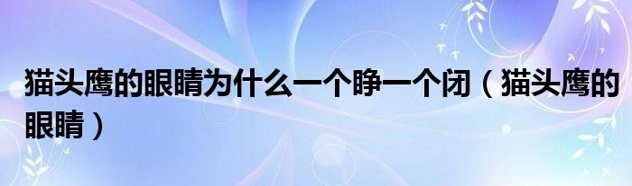 猫头鹰的眼睛为什么一个睁一个闭（猫头鹰的眼睛）