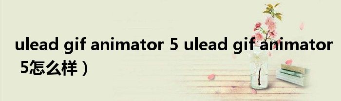 ulead gif animator 5 ulead gif animator 5怎么样）