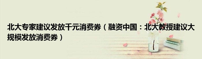 北大专家建议发放千元消费券（融资中国：北大教授建议大规模发放消费券）