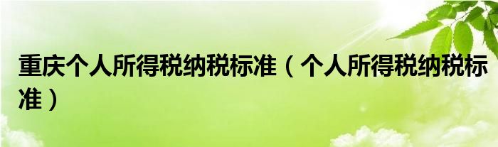 重庆个人所得税纳税标准（个人所得税纳税标准）