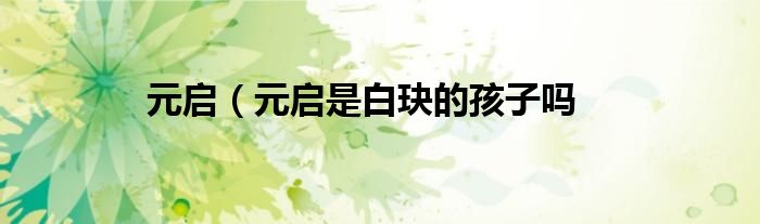 元启（元启是白玦的孩子吗