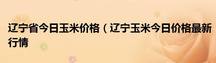 辽宁省今日玉米价格（辽宁玉米今日价格最新行情