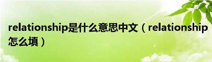 relationship是什么意思中文（relationship怎么填）