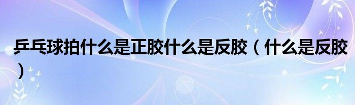 乒乓球拍什么是正胶什么是反胶（什么是反胶）