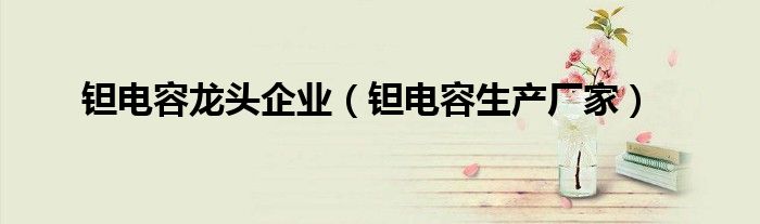 钽电容龙头企业（钽电容生产厂家）