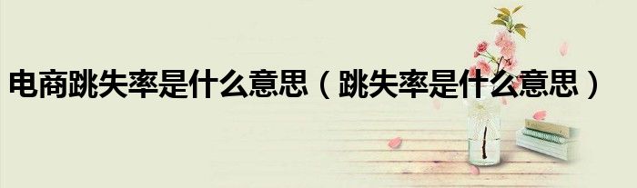 电商跳失率是什么意思（跳失率是什么意思）