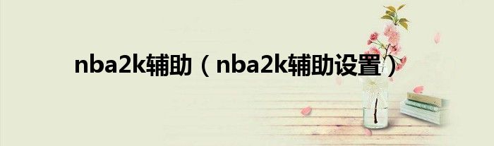 nba2k辅助（nba2k辅助设置）