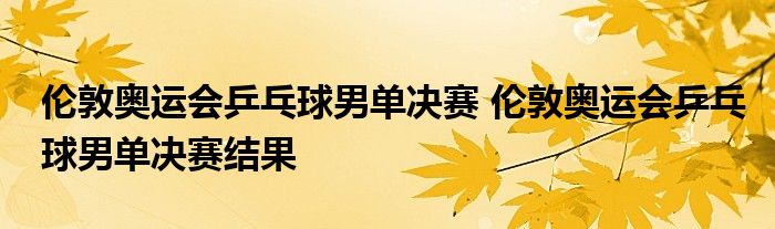 伦敦奥运会乒乓球男单决赛 伦敦奥运会乒乓球男单决赛结果